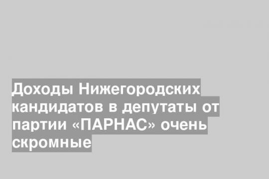 Доходы Нижегородских кандидатов в депутаты от партии «ПАРНАС» очень скромные