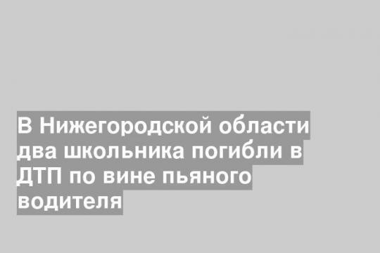 В Нижегородской области два школьника погибли в ДТП по вине пьяного водителя