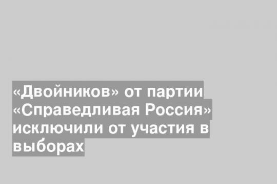 На фото: лидер НРО "Справедливая Россия" Александр Бочкарев