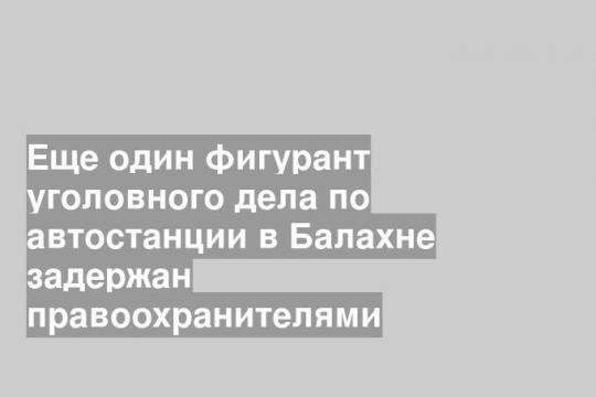 Еще один фигурант уголовного дела по автостанции в Балахне задержан правоохранителями