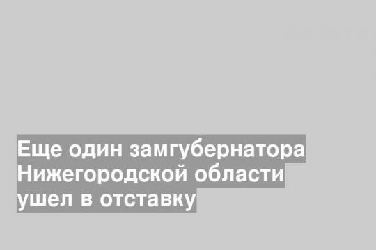 Еще один замгубернатора Нижегородской области ушел в отставку