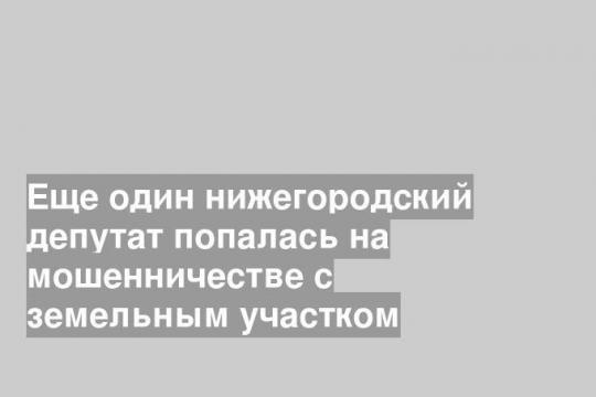 Еще один нижегородский депутат попалась на мошенничестве с земельным участком