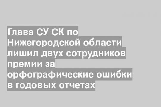 Глава СУ СК по Нижегородской области лишил двух сотрудников премии за орфографические ошибки в годовых отчетах