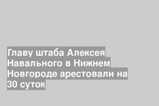 Главу штаба Алексея Навального в Нижнем Новгороде арестовали на 30 суток