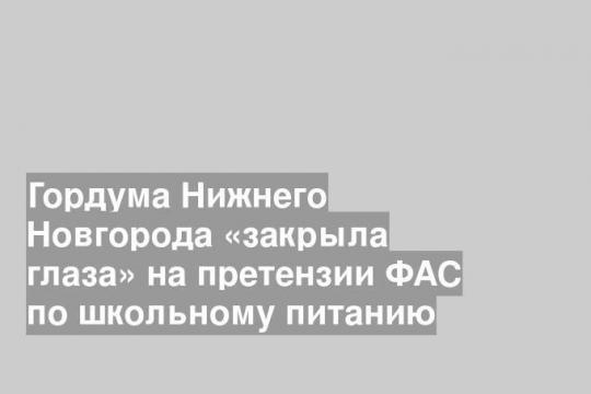 Гордума Нижнего Новгорода «закрыла глаза» на претензии ФАС по школьному питанию