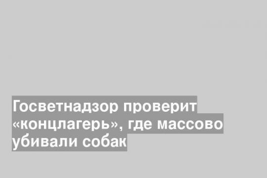 Госветнадзор проверит «концлагерь», где массово убивали собак
