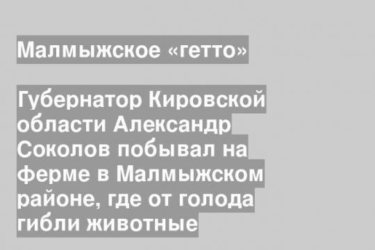 Губернатор Кировской области Александр Соколов побывал на ферме в Малмыжском районе, где от голода гибли животные