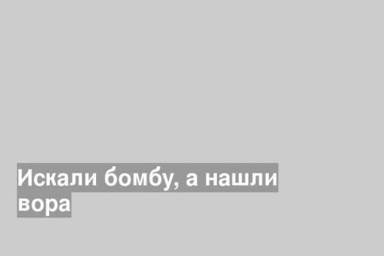 Искали бомбу, а нашли вора