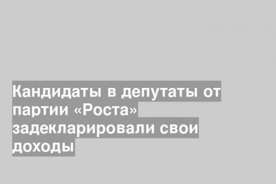 Кандидаты в депутаты от партии «Роста» задекларировали свои доходы