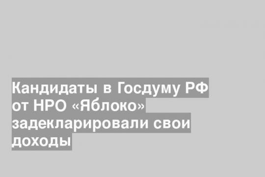 Кандидаты в Госдуму РФ от НРО «Яблоко» задекларировали свои доходы