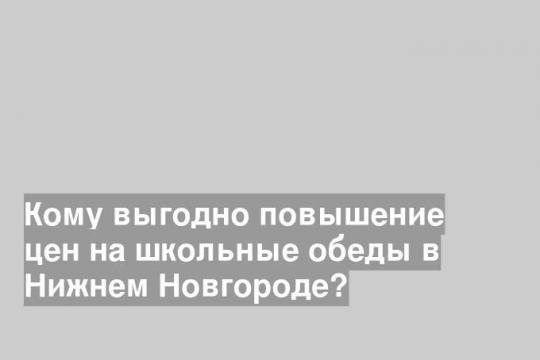 Кому выгодно повышение цен на школьные обеды в Нижнем Новгороде?
