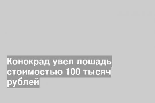 Скриншот с видео ГУ МВД по Нижегородской области