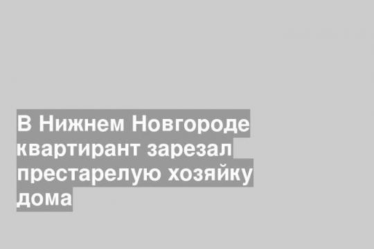 В Нижнем Новгороде квартирант зарезал престарелую хозяйку дома