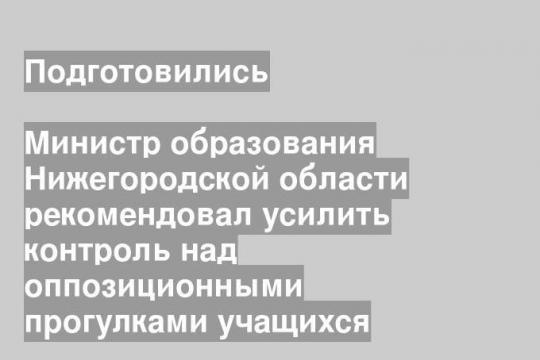 Министр образования Нижегородской области рекомендовал усилить контроль над оппозиционными прогулками учащихся