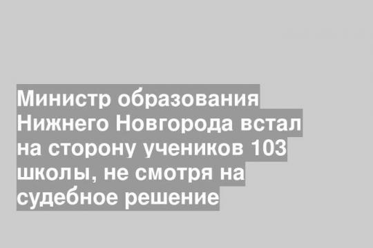 Министр образования Нижнего Новгорода встал на сторону учеников 103 школы, не смотря на судебное решение