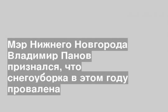Мэр Нижнего Новгорода Владимир Панов признался, что снегоуборка в этом году провалена