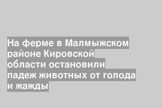 На ферме в Малмыжском районе Кировской области остановили падеж животных от голода и жажды
