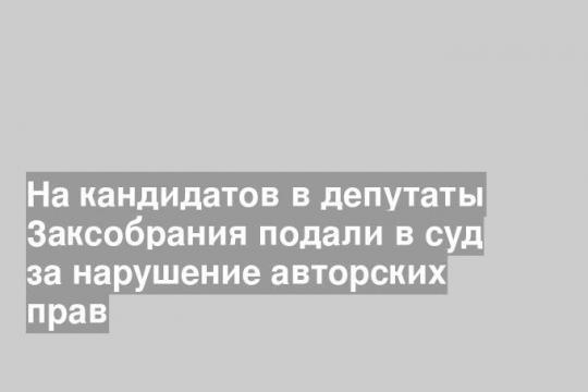 На кандидатов в депутаты Заксобрания подали в суд за нарушение авторских прав