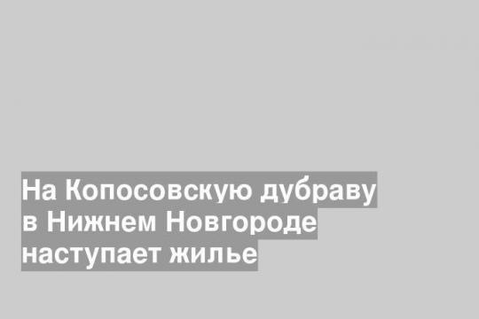На Копосовскую дубраву в Нижнем Новгороде наступает жилье