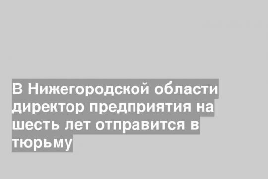 В Нижегородской области директор предприятия на шесть лет отправится в тюрьму