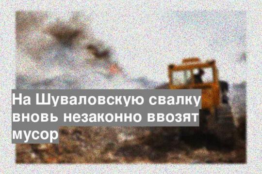 На Шуваловскую свалку вновь незаконно ввозят мусор