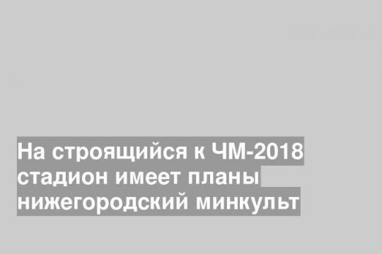 На строящийся к ЧМ-2018 стадион имеет планы нижегородский минкульт