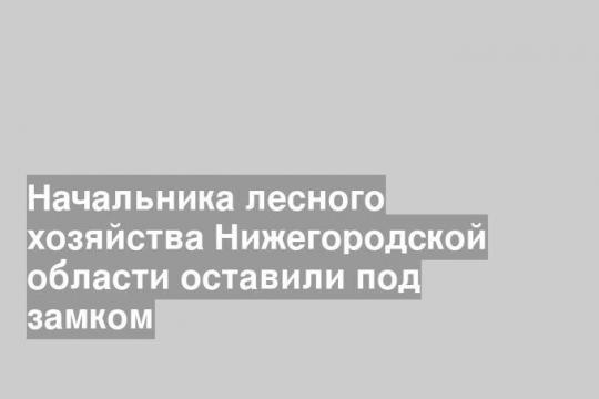 Начальника лесного хозяйства Нижегородской области оставили под замком