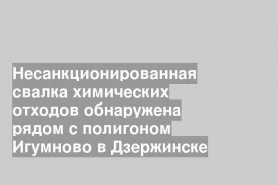Несанкционированная свалка химических отходов обнаружена рядом с полигоном Игумново в Дзержинске