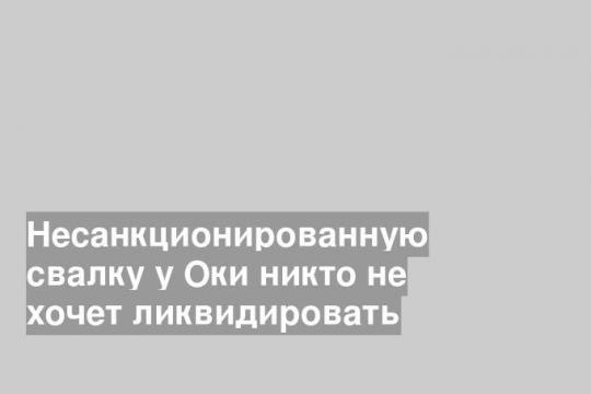 Несанкционированную свалку у Оки никто не хочет ликвидировать