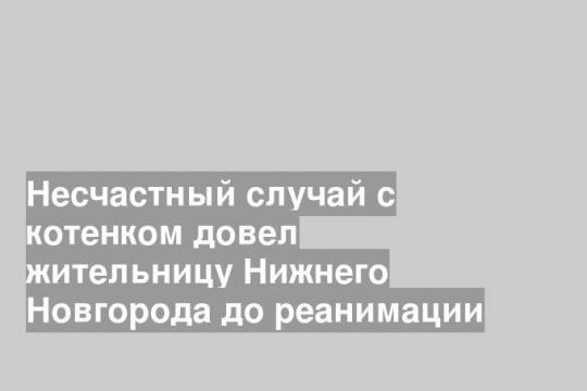 Несчастный случай с котенком довел жительницу Нижнего Новгорода до реанимации