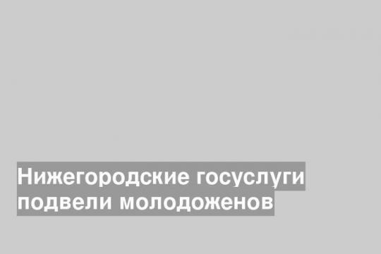 Нижегородские госуслуги подвели молодоженов