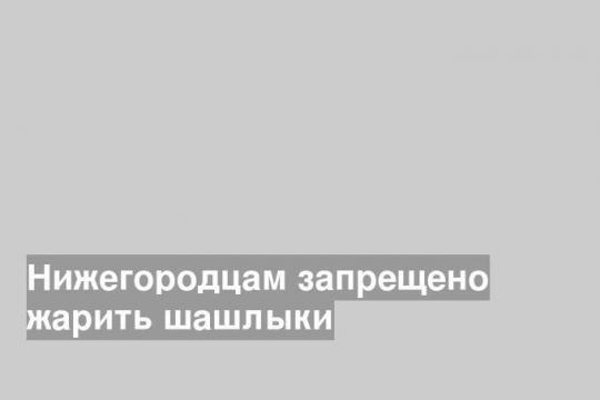 Нижегородцам запрещено жарить шашлыки