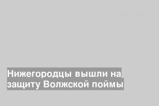Нижегородцы вышли на защиту Волжской поймы