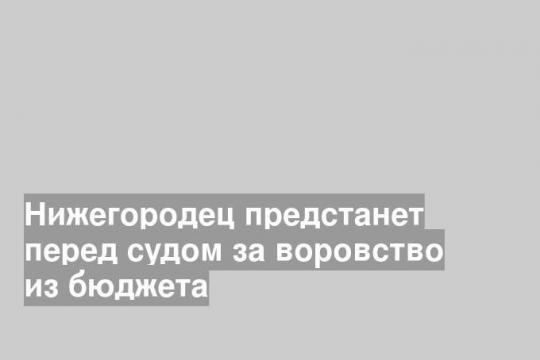 Нижегородец предстанет перед судом за воровство из бюджета