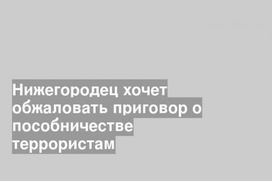 Нижегородец хочет обжаловать приговор о пособничестве террористам
