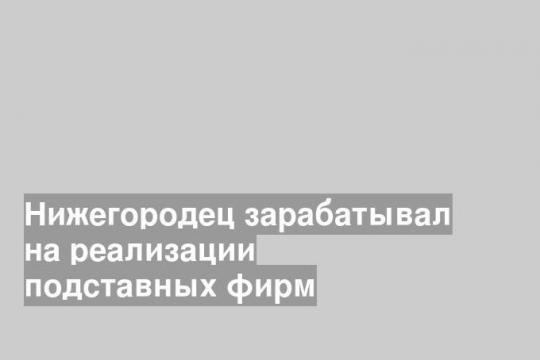 Нижегородец зарабатывал на реализации подставных фирм