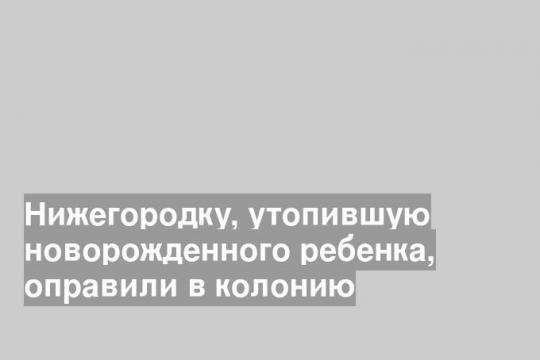 Нижегородку, утопившую новорожденного ребенка, оправили в колонию