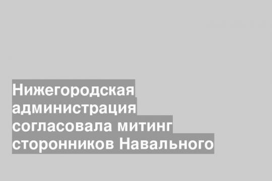 Нижегородская администрация согласовала митинг сторонников Навального