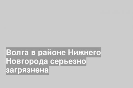 Волга в районе Нижнего Новгорода серьезно загрязнена