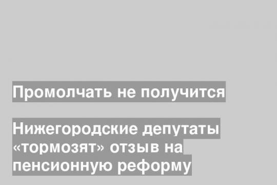 Нижегородские депутаты «тормозят» отзыв на пенсионную реформу