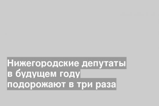 Нижегородские депутаты в будущем году подорожают в три раза