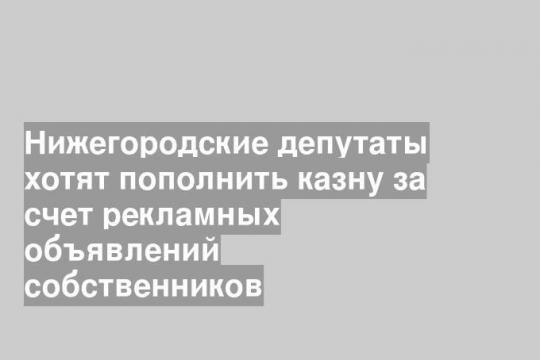 Нижегородские депутаты хотят пополнить казну за счет рекламных объявлений собственников