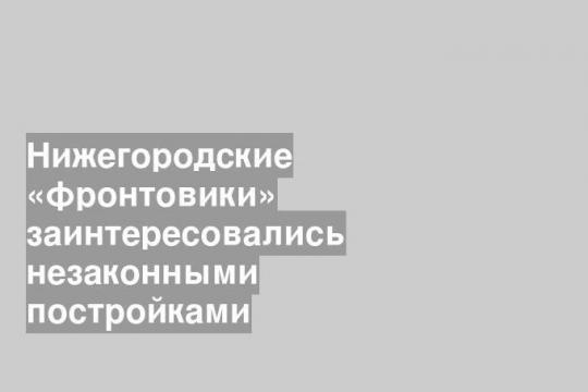 Нижегородские «фронтовики» заинтересовались незаконными постройками
