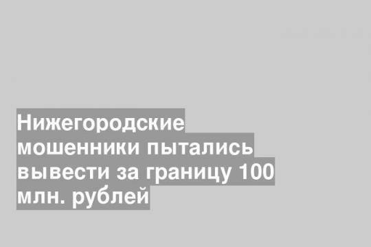 Нижегородские мошенники пытались вывести за границу 100 млн. рублей