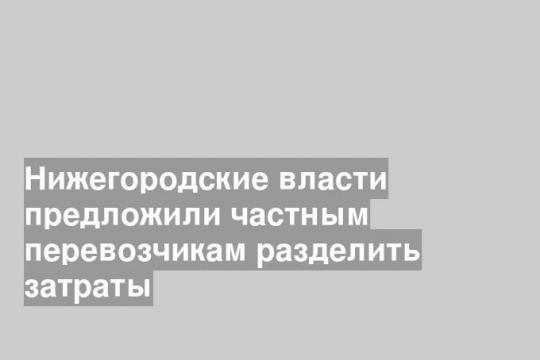 Нижегородские власти предложили частным перевозчикам разделить затраты