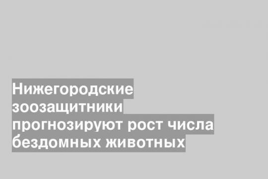 Нижегородские зоозащитники прогнозируют рост числа бездомных животных