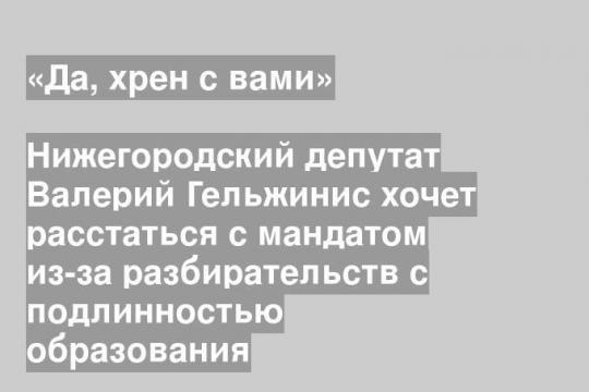 Нижегородский депутат Валерий Гельжинис хочет расстаться с мандатом из-за разбирательств с подлинностью образования