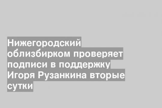 Нижегородский облизбирком проверяет подписи в поддержку Игоря Рузанкина вторые сутки