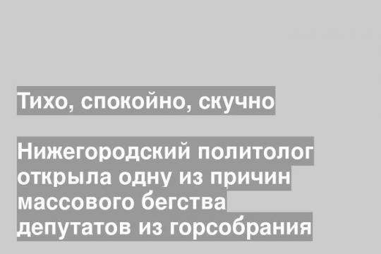 Нижегородский политолог открыла одну из причин массового бегства депутатов из горсобрания