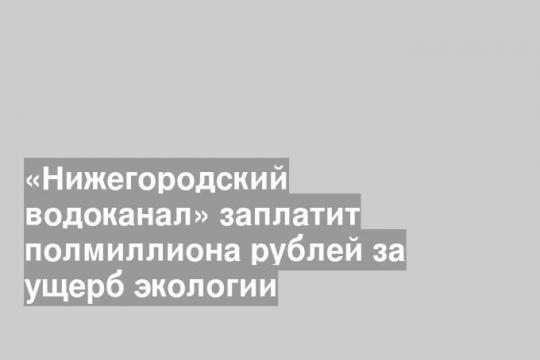 «Нижегородский водоканал» заплатит полмиллиона рублей за ущерб экологии